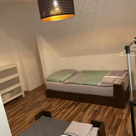 Guenon 19 * לינץ