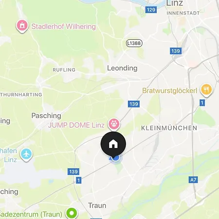 Guenon 19 Linz