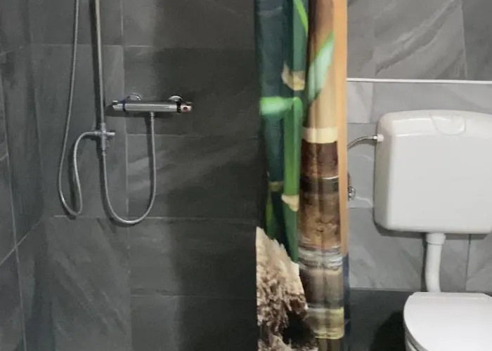 Guenon 19 Λιντς