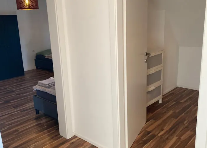 Guenon 19 Daire Linz